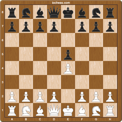 Starting position after 1.e4 e5, where every 1.e4 opening study begins